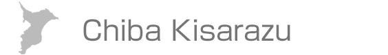 Chiba Kisarazu